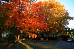 IMG_4214.JPG