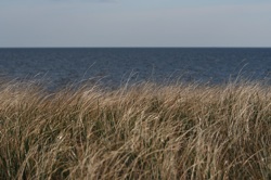 IMG_4327.JPG