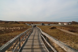 IMG_4330.JPG