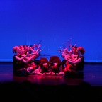 IMG_5607