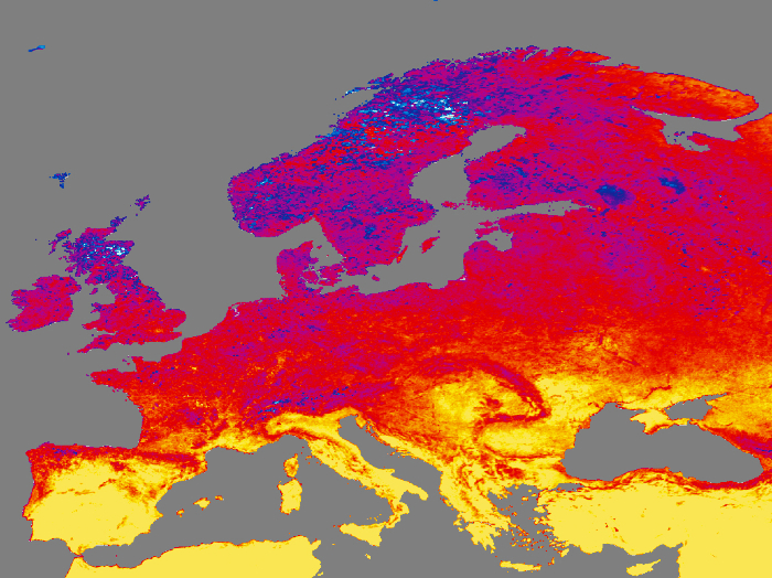 terra_lsteurope_03-11jul04_lrg