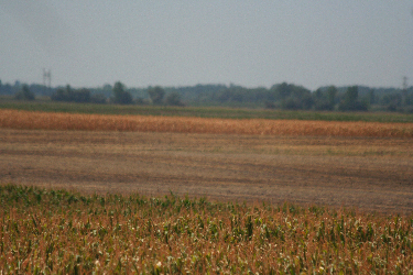 IMG_4434