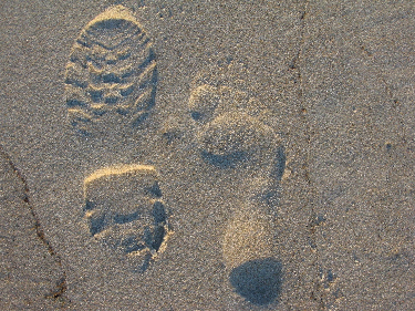 footsteps - Crane Beach